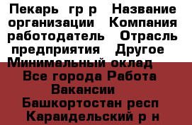 Пекарь– гр/р › Название организации ­ Компания-работодатель › Отрасль предприятия ­ Другое › Минимальный оклад ­ 1 - Все города Работа » Вакансии   . Башкортостан респ.,Караидельский р-н